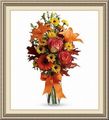 BBA Flowers, 2314 E Rand Rd, Arlington Heights, IL 60004, (847)_454-0606